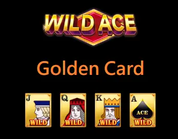 wild ace golden card