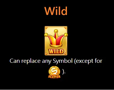 wild ace wild symbol